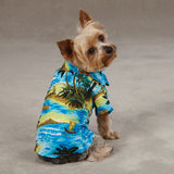 back view of a Casual Canine Hawaiian Aloha Camp Dog Shirt