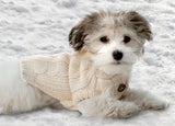 Petrageous Designs Casey's Cable Knit Dog Sweater Cream