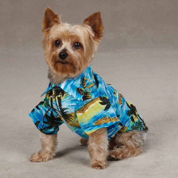 small dog in a Casual Canine Hawaiian Aloha Camp Dog Shirt