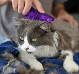 cat being brushed with a Zoom Groom Cat Brush & Massager in One by KONG