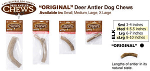 Bones and Chews Antler Dog Chew Toy