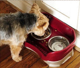 Neater Feeder Food and Water Feeding System with dog